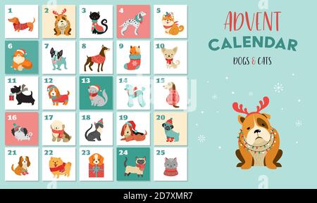 Calendrier de l'Avent de Noël avec chiens. Affiche de Noël amusante avec chiots, chiens portant des vêtements d'hiver, accessoires de Noël Illustration de Vecteur