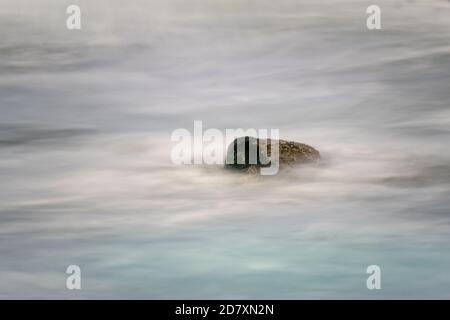 Faites du surf avec des vagues qui se brisent tout autour. Vitesse d'obturation lente créant une atmosphère de rêve et de brume. Côte de la mer du Nord, Westkapelle, pays-Bas Banque D'Images