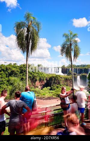Les touristes prenant des photos d'eux-mêmes avec des palmiers et des chutes d'Iguazu, Cataratas del Iguaza. Banque D'Images