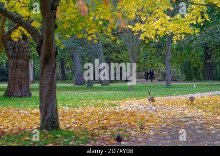 Un jour d'automne coloré à BushyPark ouest de Londres Angleterre Royaume-Uni Banque D'Images
