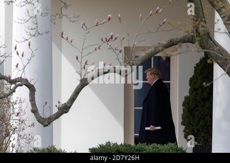 Le président américain Donald Trump quitte le Bureau ovale avant de parler avec des journalistes alors qu'il quitte la Maison Blanche à bord de Marine One le mercredi 20 mars 2019 à Washington, D.C., Trump devrait prendre un vol pour l'Ohio cet après-midi pour visiter une usine de fabrication afin de construire des chars pour l'armée américaine. À la suite de sa visite de l'usine, Trump devrait assister à un rassemblement de collecte de fonds avant de retourner à Washington, D.C. ce soir. Crédit : Alex Edelman/l'accès photo Banque D'Images