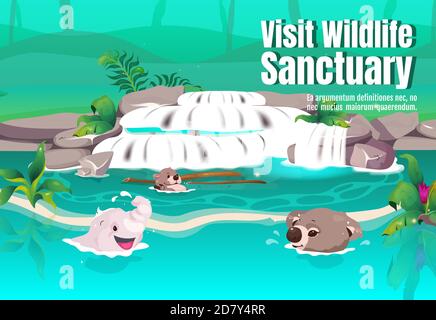 Visitez le modèle de vecteur plat de l'affiche sanctuaire de la faune Illustration de Vecteur