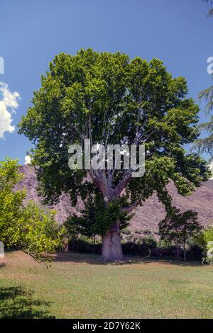 Photos de paysages de montagnes et de vallées de Chitral Khyber Pakhtunkhwa , Pakistan Banque D'Images