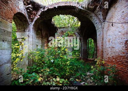 Anciennes ruines de briques rouges abandonnées, surexploité par des plantes Banque D'Images