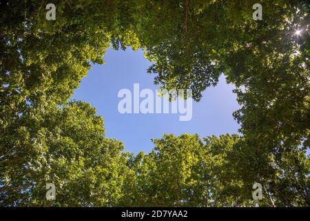 Photos de paysages de montagnes et de vallées de Chitral Khyber Pakhtunkhwa , Pakistan Banque D'Images