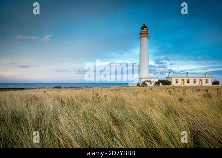 Barns Ness Lighthouse, East Lothian, Écosse, Royaume-Uni Banque D'Images