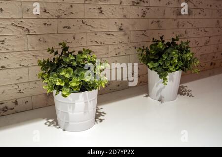 Gazon artificiel décoratif, fausses fleurs dans des pots blancs sur le comptoir de cuisine, éléments intérieurs de la maison Banque D'Images