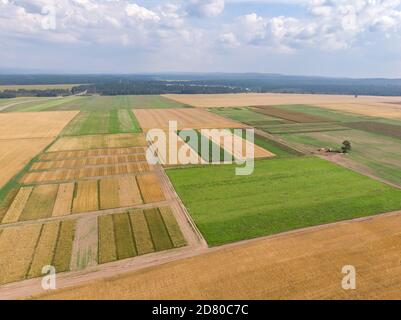 Diverses sections de champ de couleurs vertes et brunes avec des routes au sol près de la forêt dense verte, panoramique aérien. Vue de dessus de drone. Paysage agricole. Banque D'Images