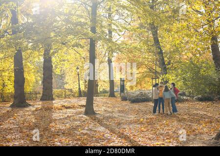 Bruxelles, Belgique. 26 octobre 2020. Les gens voient les paysages d'automne au parc Leopold à Bruxelles, Belgique, 26 octobre 2020. Credit: Zhang Cheng/Xinhua/Alay Live News Banque D'Images