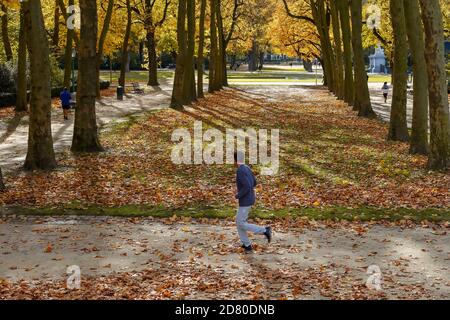 Bruxelles, Belgique. 26 octobre 2020. Un homme court au Parc du cinquantième anniversaire de Bruxelles, Belgique, le 26 octobre 2020. Credit: Zhang Cheng/Xinhua/Alay Live News Banque D'Images