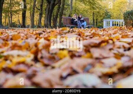 Bruxelles, Belgique. 26 octobre 2020. Les touristes se reposent au Parc du cinquantième anniversaire de Bruxelles, Belgique, le 26 octobre 2020. Credit: Zhang Cheng/Xinhua/Alay Live News Banque D'Images