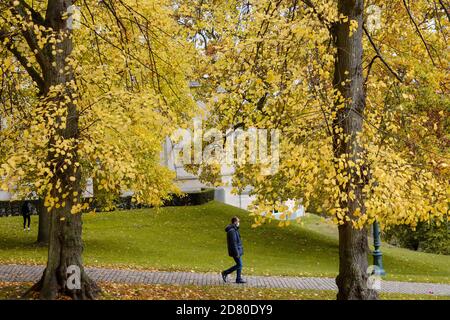 Bruxelles, Belgique. 26 octobre 2020. Une promenade touristique au parc Leopold à Bruxelles, Belgique, 26 octobre 2020. Credit: Zhang Cheng/Xinhua/Alay Live News Banque D'Images