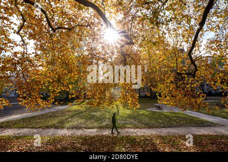 Bruxelles, Belgique. 26 octobre 2020. Un homme marche au Parc du cinquantième anniversaire de Bruxelles, Belgique, le 26 octobre 2020. Credit: Zhang Cheng/Xinhua/Alay Live News Banque D'Images