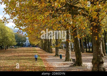 Bruxelles, Belgique. 26 octobre 2020. Une femme s'exerce au Parc du cinquantième anniversaire de Bruxelles, Belgique, le 26 octobre 2020. Credit: Zhang Cheng/Xinhua/Alay Live News Banque D'Images