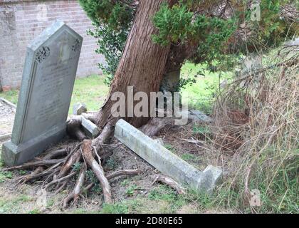 Hawkhurst , Kent Banque D'Images