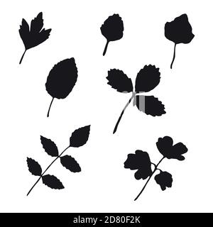 Collection de feuilles d'automne silhouettes noires isolées sur fond blanc. Illustration vectorielle. Illustration de Vecteur