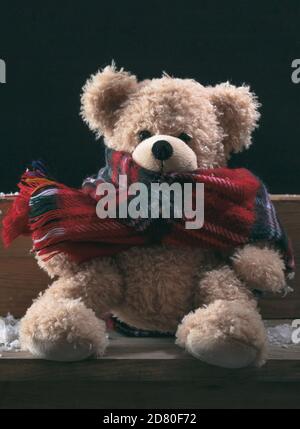 Hiver, temps froid, solitude. Peluche avec foulard assis seul sur un banc en bois, Banque D'Images