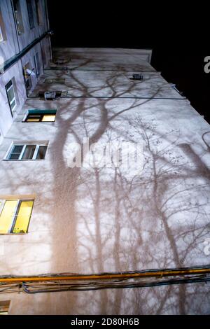 ombres d'arbres sur le mur d'un bâtiment à plusieurs étages Banque D'Images