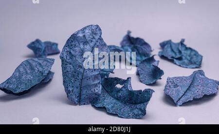 De belles vieilles feuilles décolorées en lumière bleue. Concept minimaliste de style automnal. Motif d'arrière-plan pour la conception. Banque D'Images