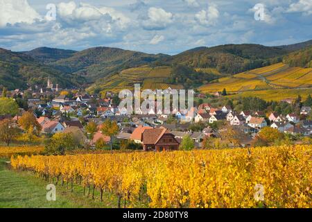 vignes colorées dans les hauteurs du petit village de Andlau en Alsace en France Banque D'Images