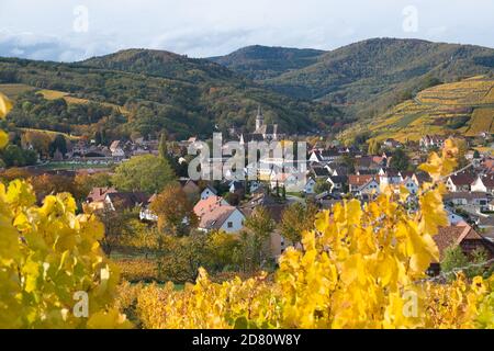 vignes colorées dans les hauteurs du petit village de Andlau en Alsace en France Banque D'Images