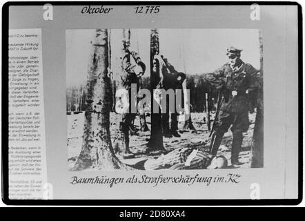 Buchenwald, littéralement forêt de hêtres) était un camp de concentration nazi établi sur la colline d'Ettersberg près de Weimar, en Allemagne, en juillet 1937. Sur la porte principale, la devise jedem das Seine (Anglais: 'À chacun son propre'), a été inscrite. Le SS a interprété cela comme signifiant que la 'course de maître' avait le droit d'humilier et de détruire les autres. C'était l'un des premiers et des plus grands camps de concentration à l'intérieur des frontières de l'Allemagne en 1937. De nombreux communistes, réels ou présumés, ont été parmi les premiers internés. Les prisonniers venaient de toute l'Europe et de l'Union soviétique—Juifs, Polonais et autres Slaves, mentalement malades et physiquement Banque D'Images