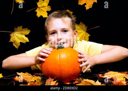 jeune garçon enfant enfant tenant la citrouille biologique naturelle dans les mains sur une table sombre avec des feuilles d'érable jaune, gros plan photos avec visage souriant Banque D'Images