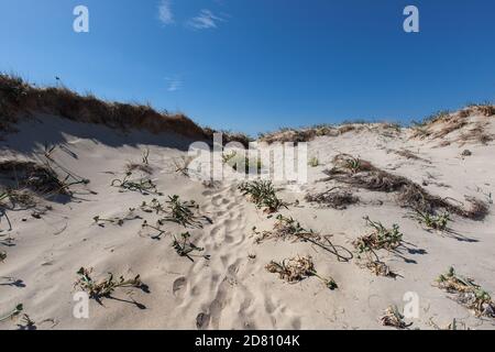 Empreintes de pieds dans les dunes de sable de l'île d'Elafonisi Dans le nord de la Crète Grèce Banque D'Images