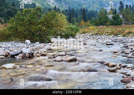 tombola d'une rivière de montagne peu profonde dans un paysage d'automne, l'eau est floue en mouvement Banque D'Images