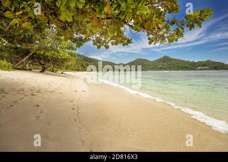 Plage de palmiers de sable de corail tropical célèbre Baie Lazare, Seychelles, île de Mahé, océan Indien. Plage de sable de corail et végétation luxuriante. Un touriste céleste de Banque D'Images