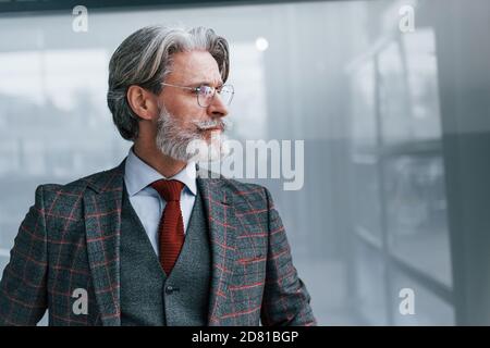 Homme d'affaires senior en costume et cravate avec cheveux gris et barbe debout à l'intérieur Banque D'Images