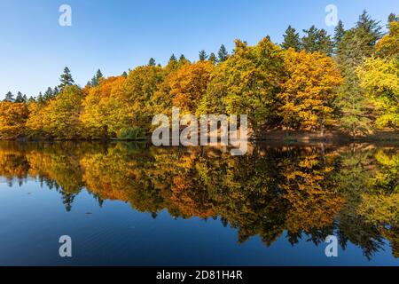 Paysage tranquille avec des arbres jaune, orange et vert colorés qui poussent le long du lac. Réflexion des arbres dans l'eau. Jour d'automne ensoleillé et lumineux, ciel bleu. Banque D'Images