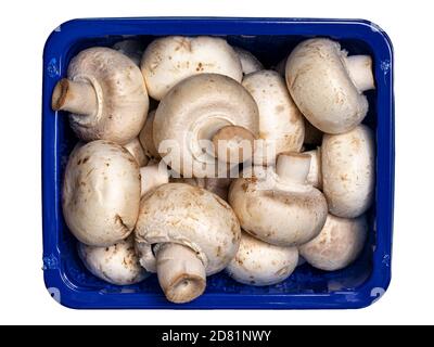 Vue de dessus plein cadre du panier bleu rempli de champignons Banque D'Images