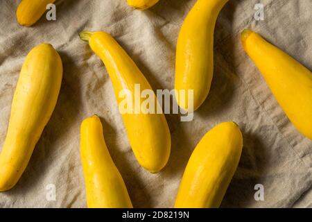 Purée de courgettes jaune biologique cru prête à cuire Banque D'Images