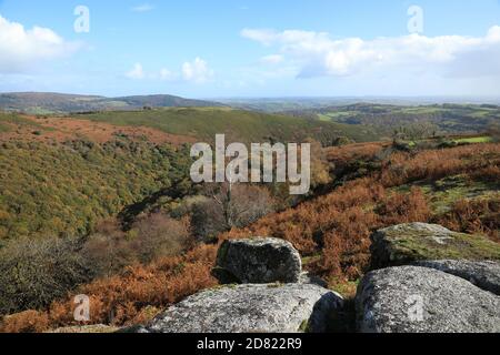 Vue d'automne depuis Bench tor, traversez la gorge de Dart en direction de Holne Woods, parc national de Dartmoor, Devon, Angleterre, Royaume-Uni Banque D'Images