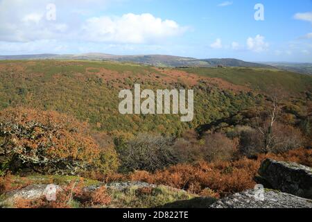 Vue d'automne depuis Bench tor, traversez la gorge de Dart en direction de Holne Woods, parc national de Dartmoor, Devon, Angleterre, Royaume-Uni Banque D'Images