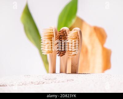 Brosse à dents zéro déchet sur fond naturel écologique avec ciment, feuille verte et coupe transversale de l'arbre. Brosse à dents en bambou ou en bois Banque D'Images