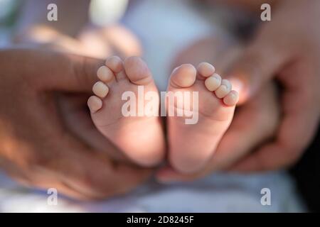 Les pieds du nouveau-né dans les mains des parents. Faisceau de soleil. Gros plan Banque D'Images