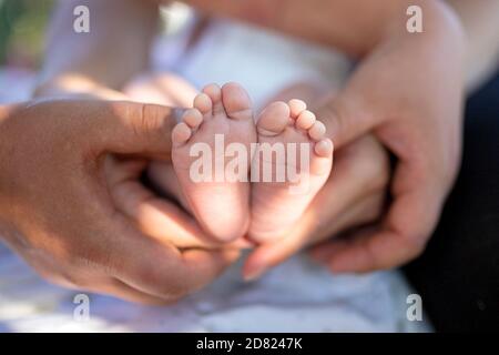 Les pieds de bébé sont maintenus par les mains des parents. À l'extérieur. Poutres de soleil. Gros plan Banque D'Images