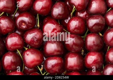 cerisier mûr doux viburnum fond de cerisier. Banque D'Images