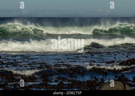 De grandes vagues sur la côte du parc national de Namaqua, sur la côte ouest de l'Afrique du Sud, lors d'une journée venteuse soufflant le jet dans la direction opposée Banque D'Images