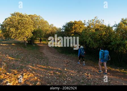 Deux pèlerins traversent la chaîne de montagnes Atapuerca lors de leur pèlerinage sur le Camino de Santiago Francés, dans la province espagnole de Burgos. Banque D'Images