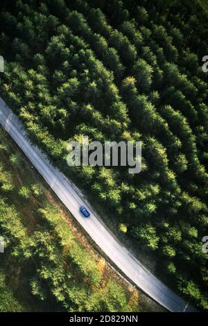 Vue de dessus d'une voiture bleue unique en conduisant dans la forêt à Zlatibor, Serbie. Vue aérienne de drone pov. Banque D'Images