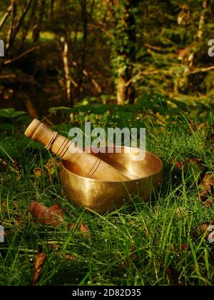 Bol de chant placé dans l'herbe verte et fraîche Banque D'Images