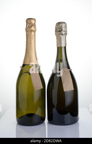 Deux bouteilles de vin mousseux de différentes variétés sur fond clair. Banque D'Images