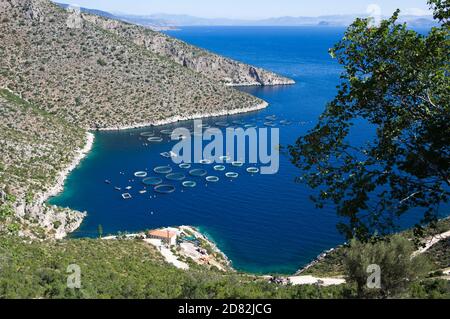 Pêche en mer bleue du Péloponnèse, Grèce Banque D'Images