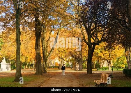 Bruxelles, Belgique. 26 octobre 2020. Un homme marche dans le Parc du Cinquantenaire à Bruxelles, Belgique, le 26 octobre 2020. Credit: Zheng Huansong/Xinhua/Alay Live News Banque D'Images