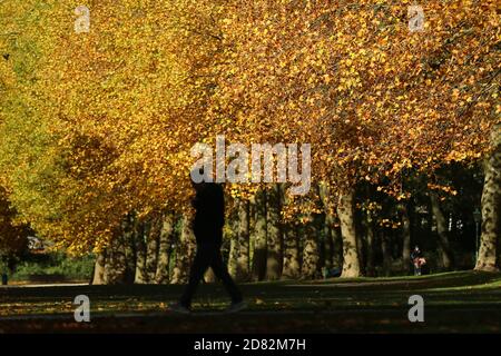 Bruxelles, Belgique. 26 octobre 2020. Un homme marche dans le Parc du Cinquantenaire à Bruxelles, Belgique, le 26 octobre 2020. Credit: Zheng Huansong/Xinhua/Alay Live News Banque D'Images