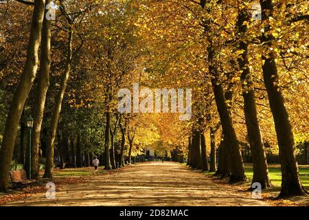 Bruxelles, Belgique. 26 octobre 2020. Un homme qui se présente dans le parc du Cinquantenaire à Bruxelles, Belgique, le 26 octobre 2020. Credit: Zheng Huansong/Xinhua/Alay Live News Banque D'Images