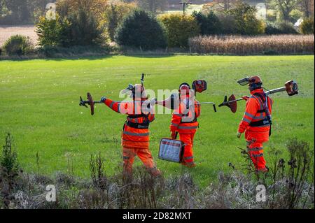 Wendover, Aylesbury Vale, Royaume-Uni. 26 octobre 2020. Les entrepreneurs de HS2 étaient aujourd'hui des haies débordantes, mais seulement autour de nombreuses entrées pour des terriers de blaireau sur un sentier public et des champs qui adjoignent des terres que HS2 ont maintenant obligatoirement acheté sur Durham Farm. Certaines des entrées des arceaux avaient déjà été câblées. Les militants écologistes anti HS2 ont soulevé de graves inquiétudes quant à l'impact extrêmement préjudiciable que la construction du train à grande vitesse HS2 de Londres à Birmingham a sur la faune. Crédit : Maureen McLean/Alay Live News Banque D'Images